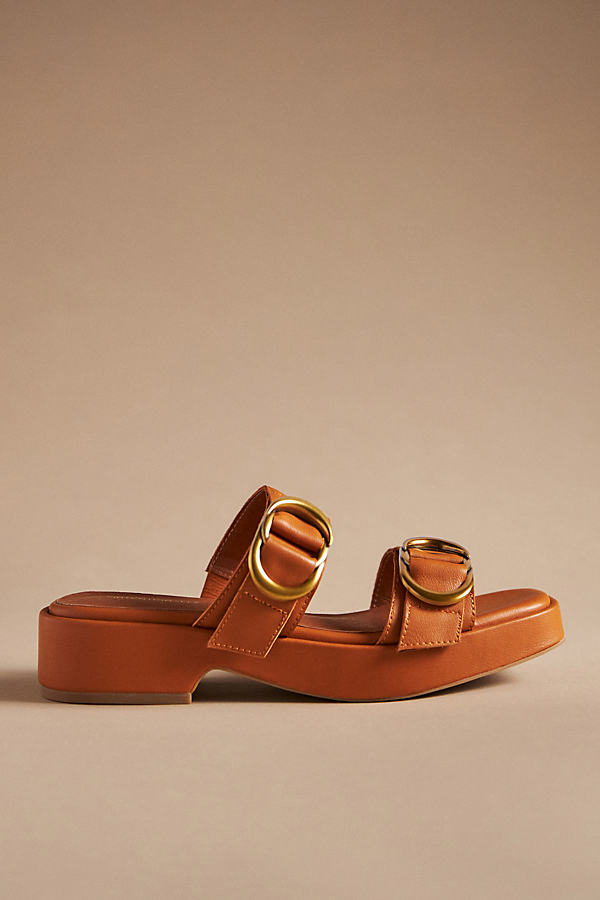 Intentionally Blank Buckle Sandals In Brown