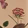 2 - Blush