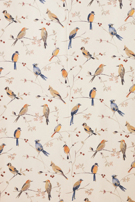 Birdsong Orange Trail Farmhouse Wallpaper