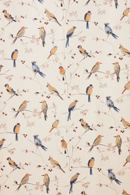 Birdsong Orange Trail Farmhouse Wallpaper