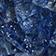 PERIWINKLE