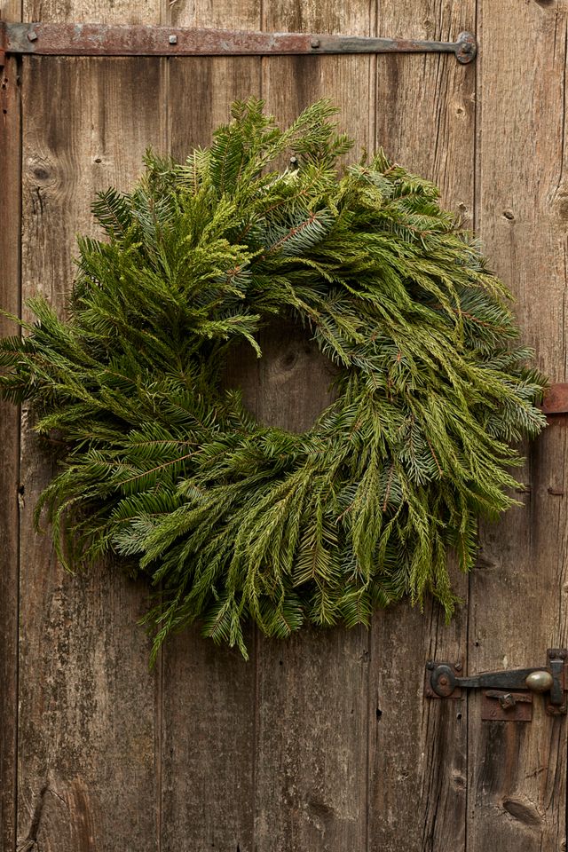 Fresh Cryptomeria + Noble Fir Wreath #1