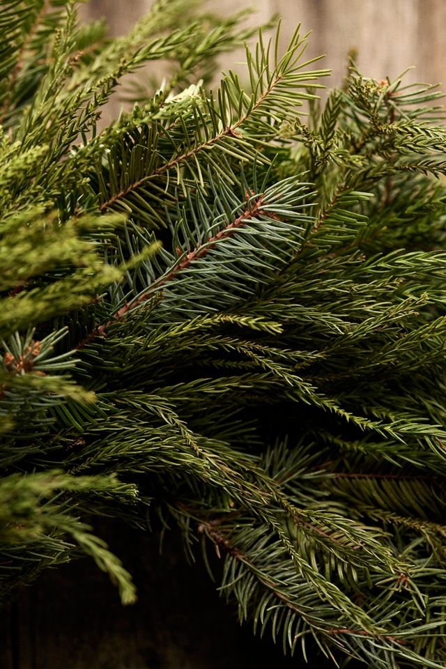 Fresh Cryptomeria + Noble Fir Wreath #2