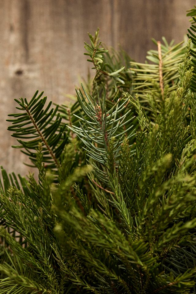 Fresh Cryptomeria + Noble Fir Wreath #3