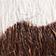 Marron Cow