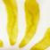 Yellow Pattern