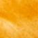 Orange Bird