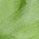 Lime Chicken