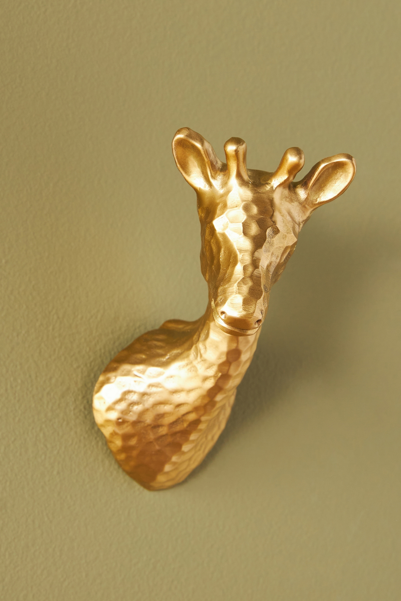 Giraffe Safari Hook