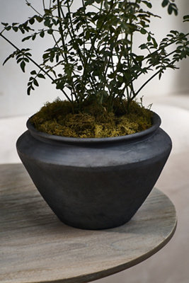 鉢・プランター CERADEMIC POT black spicygem x botanize Buy Gorgeous Black Cerramic Pot/Planter Plants & Trees Online