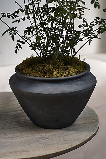 Stella Ceramic Planter