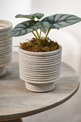 Terrain Ridged Texture Footed Planter, 4.5" In Brown