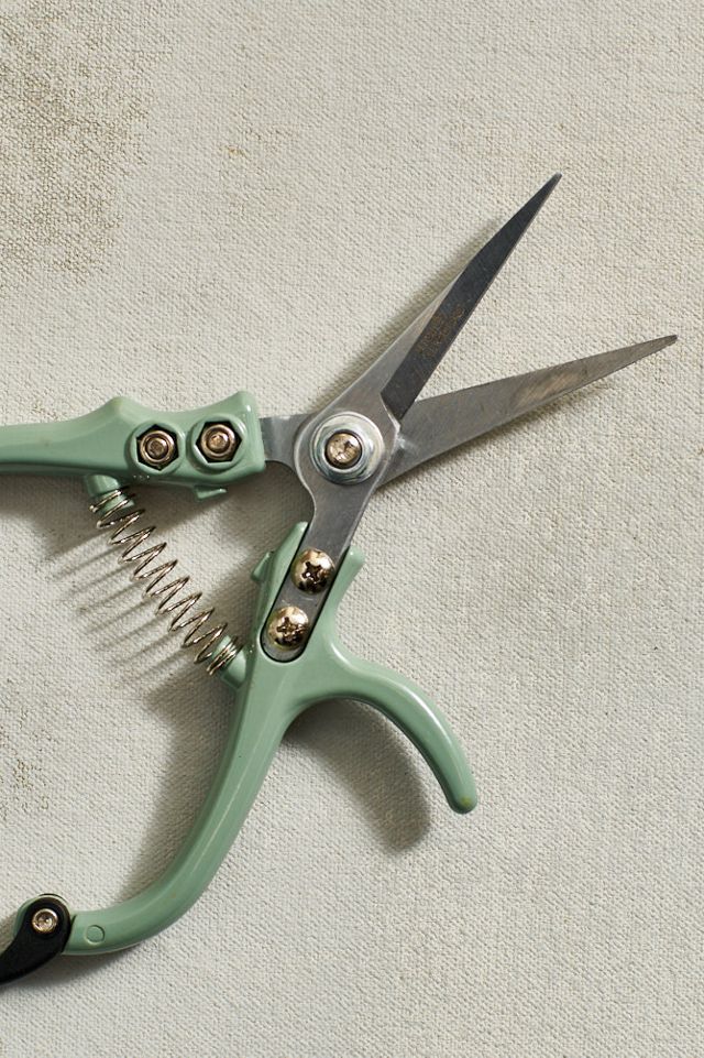 Pruning Snips #2