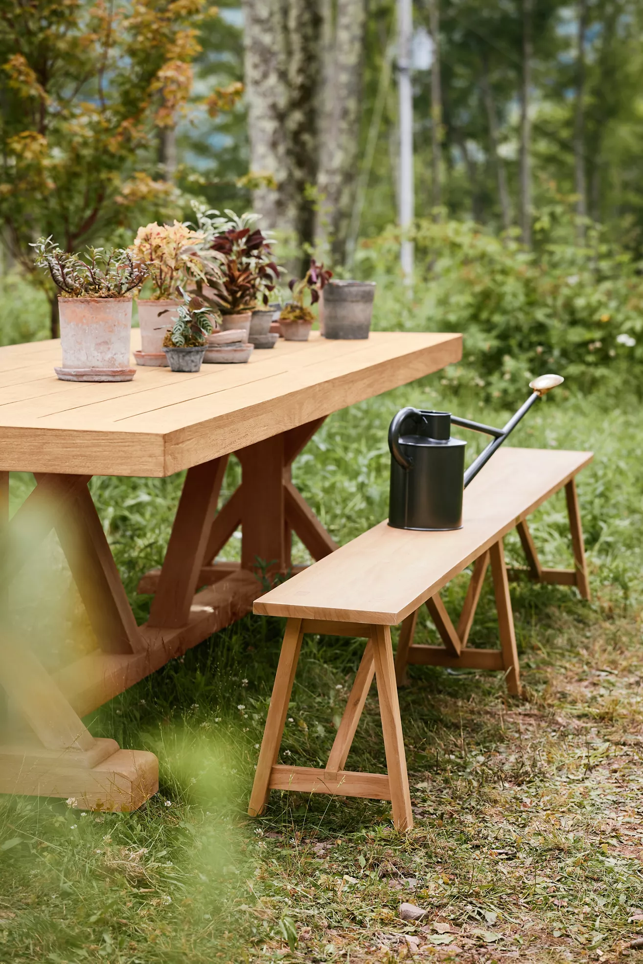 Teak bench alongside table with potted plants in garden