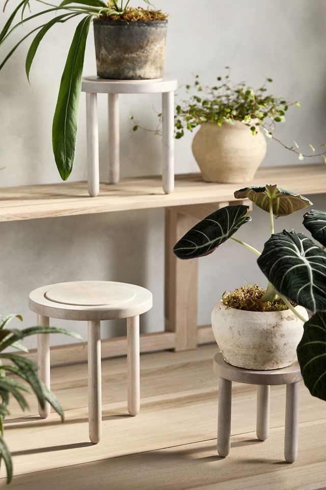 Three Leg Wood Plant Stand, Small #1