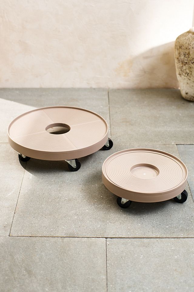 Rolling Plant Dolly, Grey 12" #2