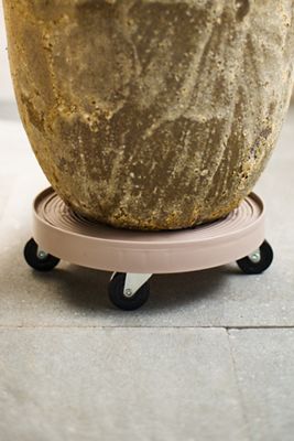 Rolling Plant Dolly, Grey 12"
