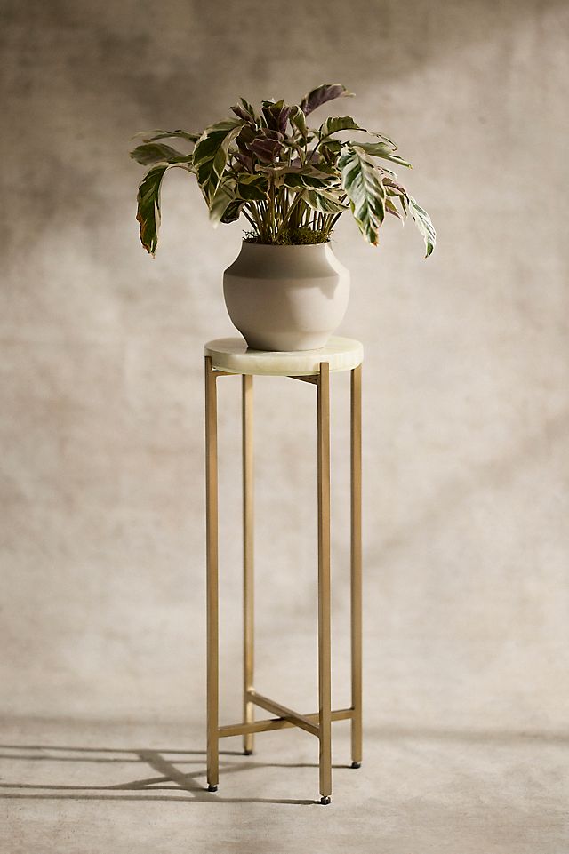 Onyx Top Plant Stand
