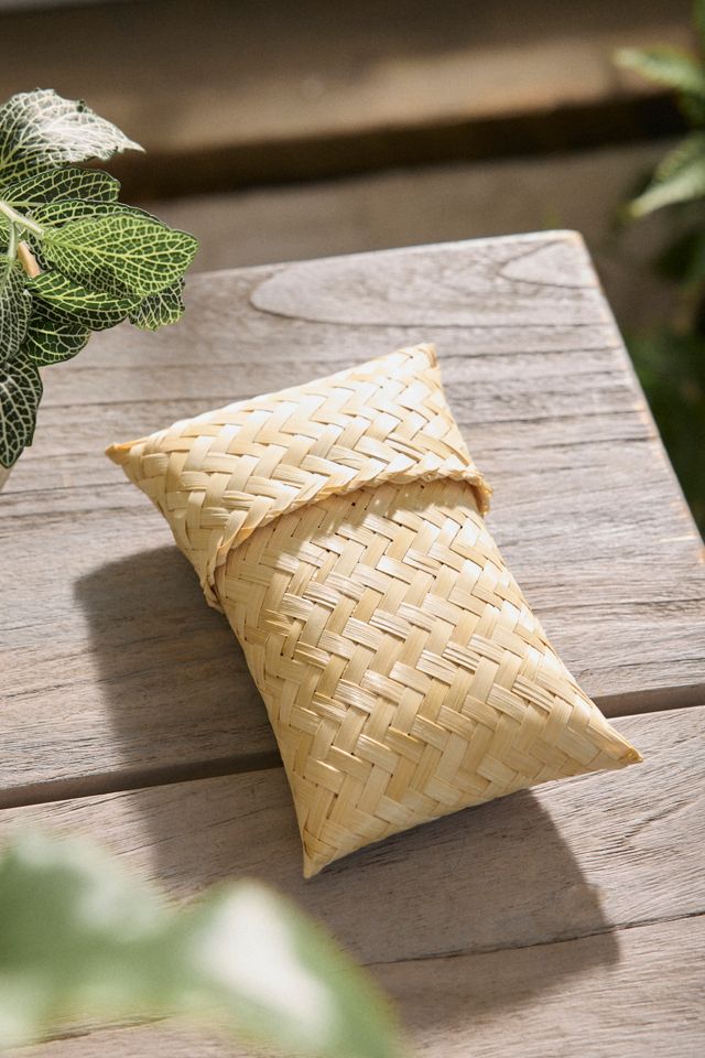 Garden Pruners with Case #1