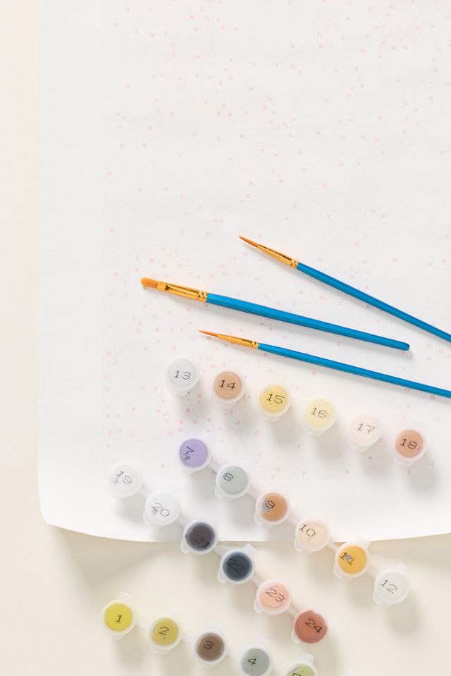 Paint Anywhere Adult Paint Kit #1