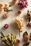 Dried Floral Bouquet Scatter