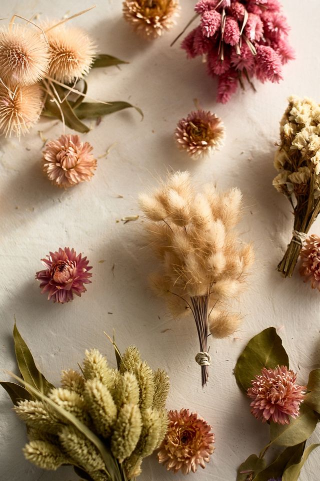 DRIED FLORALS