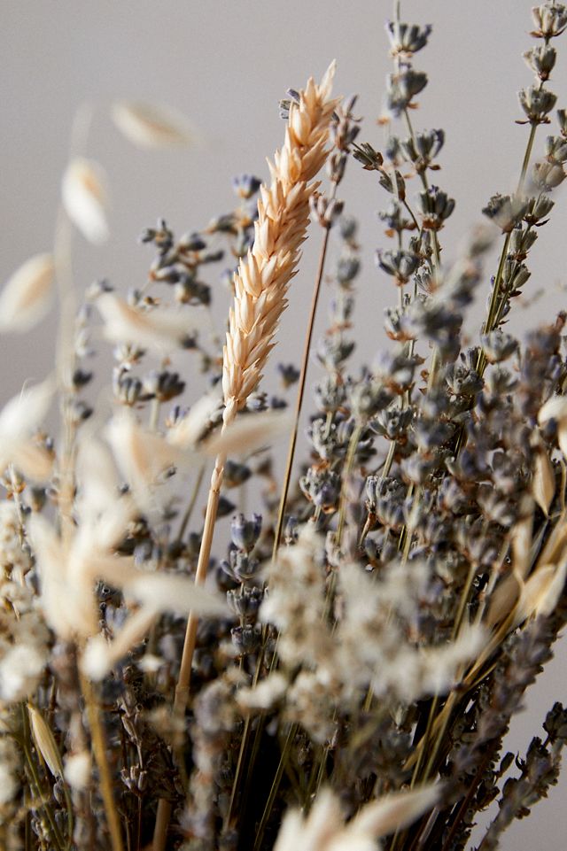 Dried Lavender Flowers - Golden Gait Mercantile