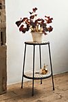 Woven Top Iron Plant Stand