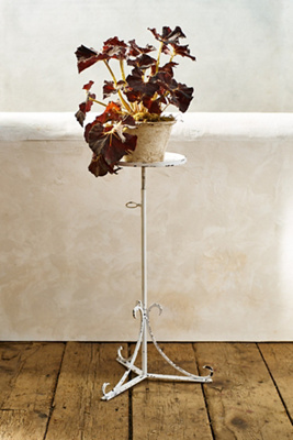 Re:ens 欅 × Iron Flower Stand 81587503_000_b