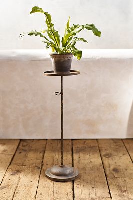 Terrain Aged Iron Adjustable Pedestal Plant Stand In Brown