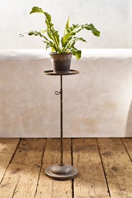 Aged Iron Adjustable Pedestal Plant Stand