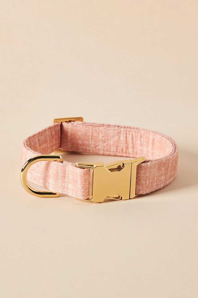 The Foggy Dog Petra Collar #1