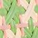 Pink/Green/White