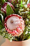 Fresh Protea, Waxflower, Grevillia + Leaucadendron Bouquet #1