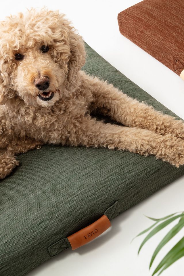 LAY LO Pets Moden Dog Bed