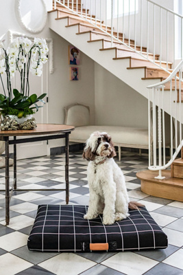 LAY LO Pets Grid Dog Bed | AnthroLiving