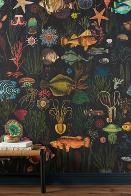 MINDTHEGAP Oceania Wallpaper