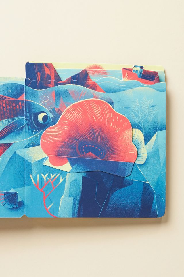 Peek-a-Baby: Ocean  #1