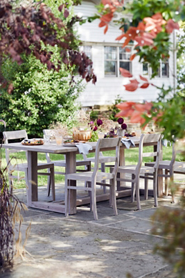 Terrain Noni Side Chair - Thumbnail 4