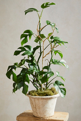 Terrain Twiggy Brass Plant Support