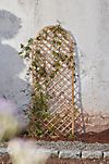 Rounded Top Willow Trellis #1
