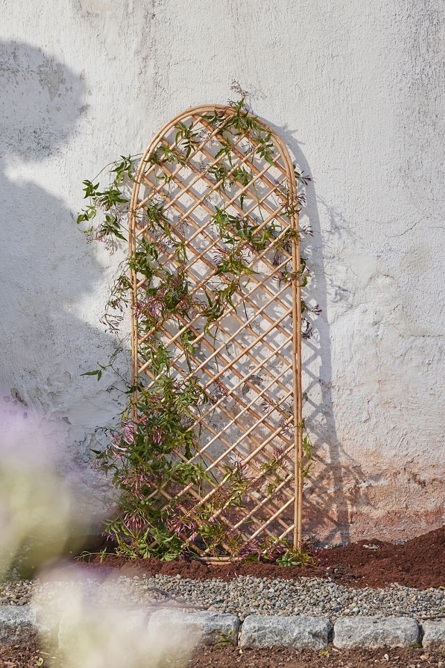 Rounded Top Willow Trellis