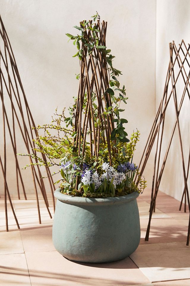 Woven Willow Cone Obelisk #6