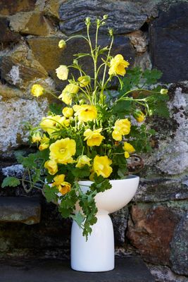 Footed Vase with Flower Frog