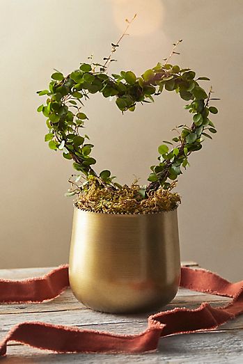 Angel Vine Heart Topiary, Gold Metal Pot