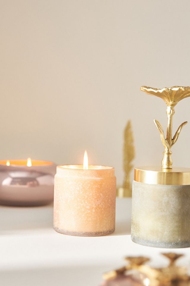 Vela en Tarro con Tapa de Flor Golden Honey & Cedarwood #1