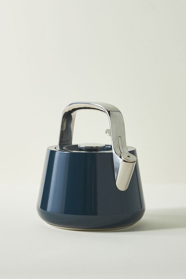 Caraway Tea Kettle #1