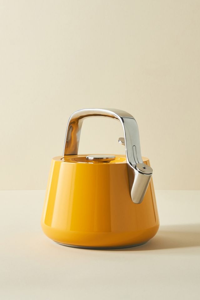 Caraway Tea Kettle #1
