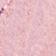 Rosewood/Pink Salt