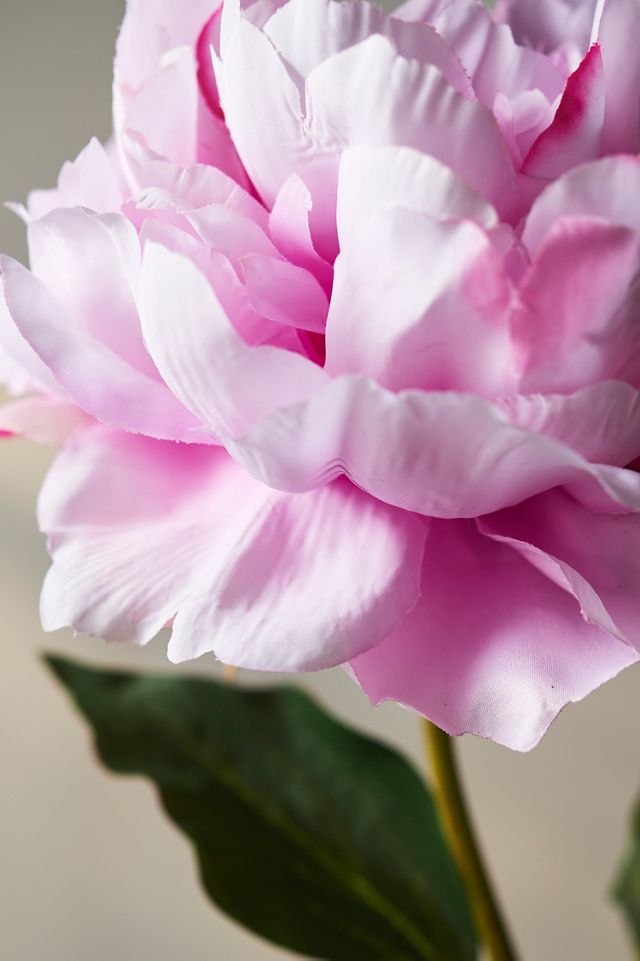 Faux Pink Peony Stem #1